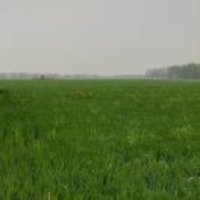 44a840aa6fa23f5d72bd3f5249150f48ca853cff