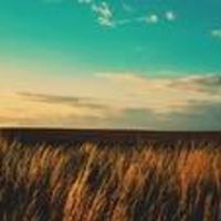 Dfafe9d97c29f74f15a2d965b7de61be14ac15bb