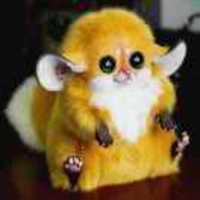 Fc419281e2daa696a86a58e91025e68d528907c7