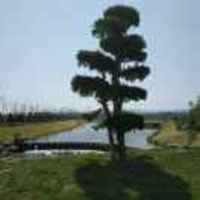 8f9c0f8e7a587d96465c80748ce7b0163a41533f