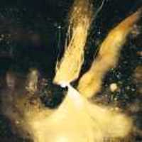 Ac7ebab70847580f2d36d8b9a77b3123f7a73faa