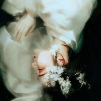 D08e0ca308a2e1af4c9137b0fae5eab52d356e99