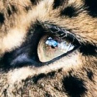 Fecb547c638c8c33dfca8cd305d831a88c7ebcc0