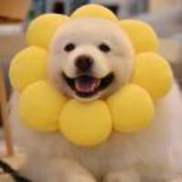 52c2a7f32acfe84e2d68214076378839f66fd2d6