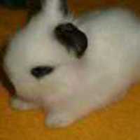 Bc46f54b0e0367eca6517a2c5a36a5241f1f6959