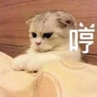 A300d51933a4da3146e9a0da90ac86e2325eadbe