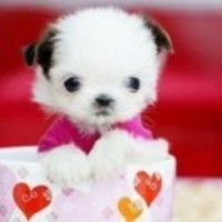 612c4784af526bbe4cc711b88a2de508d94dd885