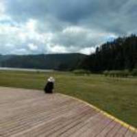 375a603a78b592394af37e3b35f5aec2a1ccab05