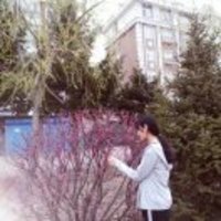 E907dbb6fb0955bd32fadb7d3c7563586453f978