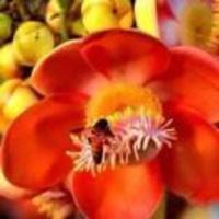 391a82df15f5a037224d7eb5adc433694eeaa9ab