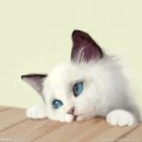 4340b245f0e8fe19813383c814ddcf7530e4bdaf