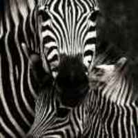 Cc58dc2bb3b37136aa94e68032c76bd33a2b8eba