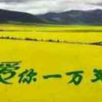 0a629141f6cc400faf71e56aec7a670375ede2a5