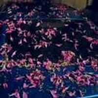 12aa6dca812d3d53213500d2173e642985889a00