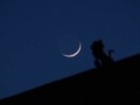 5ed771d27478890e355a28d6c4d7c8824613bac8