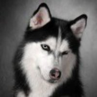 56b02015d13edaeaf7f5b11a271482d93fdb5d9a