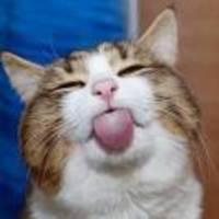 2fe39a4d1ff57feb412d16831f9a0ee87f1fdf93