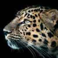 F9b7ff5e41d9baebde05e98cbf04b6bd807e33b9