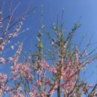 8a7a68735afebb52f706ccaea7943f3ffba75ce6