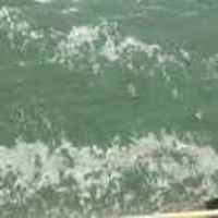 D810e886ffc08f38a2c04a85d4e772da713bdf4e