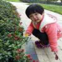 68874e70e004c4a639b75b524f47d416686cb1e5