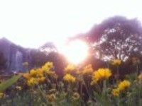 0ea50033c41da3e59a16ad65dec3f1d348801302