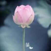 2b36c90ee5b5f37099f318ff294b825e5323bc93