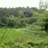 Da8175e947a47bc36e0e7e6db2d51d8fbd75e1c6