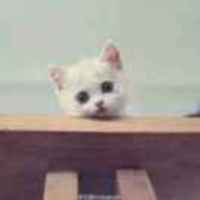 F08a14da5eb38552239ebf097e80662e67aa274d