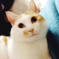 2dcf87abe8e73ac4a2c26e57e7767de6df253eb0