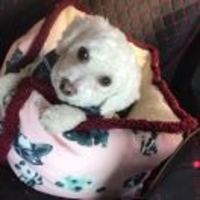 97a409ac43fc78ccb46a1392876b6332363e3102