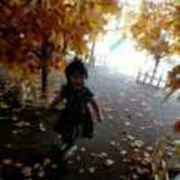 7e564e5d25b2790c8a8ac6ba7680eeea2a941c30