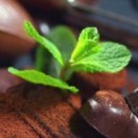 Bf832057f93a2dda6386483559894fe59de1be1f