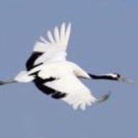 A9ebc24eccc5c41d99f0d7f7618c91055cb50bc1