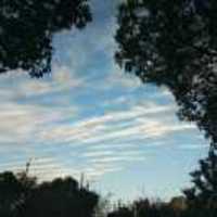 2c6f8e3267e5522e4356e3d218d448ad153c644b