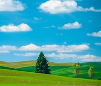 B50dbd51aab1c40bbcef1905674085e10aa87ab8