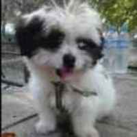 4e018db15f21c53c3e2f6cc3f17f57c378e1d414