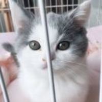 3b8d1be00f0666bd0dc5fc0b6ff3246c2227f578