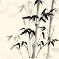 82f1d3b9ebdb2b37dce0d2c821d9a7539a295b18