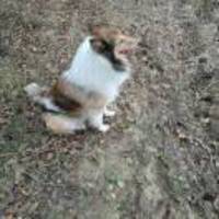 84c31f1e0de7a62544efd807b579e5356926b609