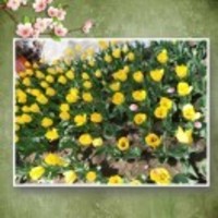 B8ade93a8587064229d28732c112a72d3a8e3b73