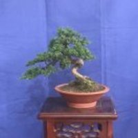 5266bb7c23b824b22c8be4e0f0b3a7bdb8491b46