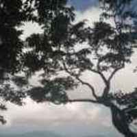 F2f8569a12b6d61c15779df2432df032815e3e69