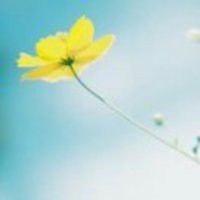 Da1fcda6a23ac8edd405d8b14db6b3f80fb8773b