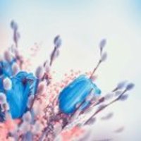 04b4cb65331bf0321860e3086defe7d4d76ff5fa