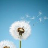 C0d8bd0856599f40f781087f6cb5801d908e12bd