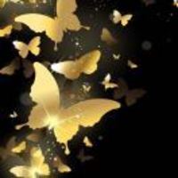 6e8527a706c2ef90b753c7e7b466cb10cc7f2916