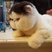 68df003302ae4be48f8dae73b5b2f378bf78666c