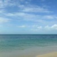 Ff1b215e1de1fbd771ba2761c552e5dd7f4fedd2