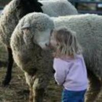 3c6f27fb6a4e8e710aa59af2c6fcec3ec38503a7